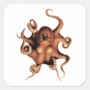 Search for aquatic square stickers Animal