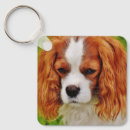 Search for double sided photo key rings Cute