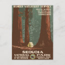Search for tent postcards Green