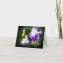 Search for iris flower cards Green