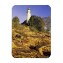 Search for huron magnets Nature