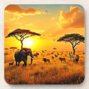 Search for african safari coasters Wild animals