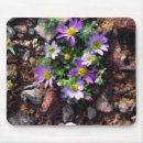 Search for arid mousepads Bloom