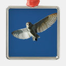 Search for daytime christmas tree decorations Usa
