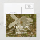 Search for magnolia flower save the dates Floral