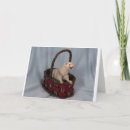 Search for ferret cards Pet
