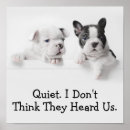 Search for peer posters Puppy