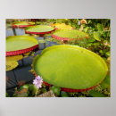 Search for pad posters Green