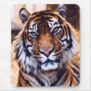 Search for bengal tiger electronics Cute