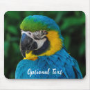 Search for bird pet mousepads Colourful