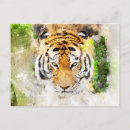 Search for tiger head postcards Wild