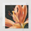 Search for lily note cards Nature