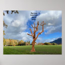 Search for acorns posters Fun
