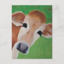 Search for cow postcards Southwest