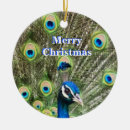 Search for peacock christmas tree decorations Blue