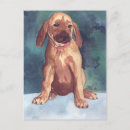 Search for sweet brown postcards Watercolor