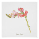 Search for foxglove flowers posters Pink