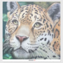 Search for jaguar animal stickers Jungle