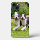 Search for dog running iphone cases Terrier