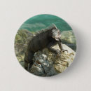 Search for iguana badges Nature
