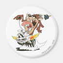 Search for taz magnets Animation