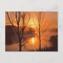 Search for medium format postcards Fall
