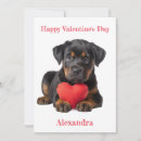 Search for rottweiler cards Heart