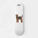 Search for terriers skateboards Dog