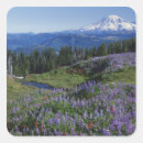 Search for mt washington stickers Landscape