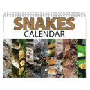 Search for reptile calendars Snakes