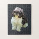 Search for lhasa apso puzzles Puppy