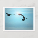 Search for togetherness postcards Fauna