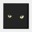 Search for eye magnets Cat eyes