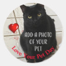 Search for love pets stickers Cat