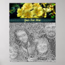 Search for primrose flowers posters Floral