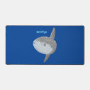 Search for sunfish Mola mola