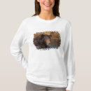Search for arctos tshirts Alaska