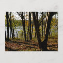Search for connecticut postcards Nature