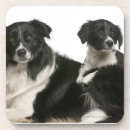 Search for belgium coasters Black