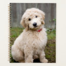 Search for pet sitting planners Puppy