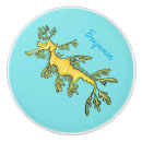 Search for seahorse knobs and pulls Cute