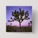 Search for joshua tree badges Landscape