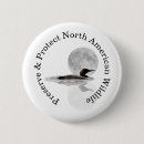 Search for loons badges Common loon