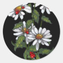 Search for ladybugs stickers Daisy