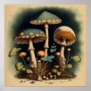 Search for vintage mushroom art posters Fungi