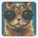Search for cat with sunglasses stickers Kitten