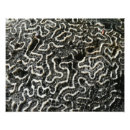 Search for abstract pictures posters Beach