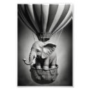Search for black and white elephant posters Baby