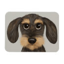 Search for cute magnets Dog