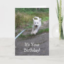 Search for labradoodle birthday cards Cute